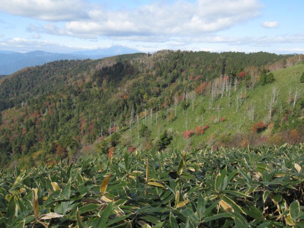 登山道